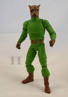 Dr. Canus (DC Universe) Custom Action Figure