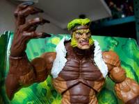 Sabretooth Ver. 02 (Marvel Legends) Custom Action Figure