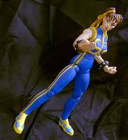 Chun Li Street Fighter Alpha (Street Fighter) Custom Action Figure