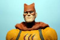 Catman (DC Universe) Custom Action Figure