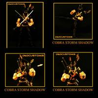 Cobra Storm Shadow Ninja-Ku Leader Marvel Legends Style (G.I. Joe) Custom Action Figure