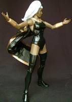 Storm (X-Men) Custom Action Figure