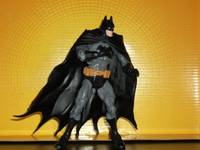 Batman... (DC Universe) Custom Action Figure