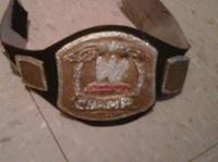 Wrestling Belts.. (Wrestling) Custom Action Figure