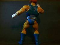 Lion-O, Masters of the Universe Crossover (Masters of the Universe) Custom Action Figure