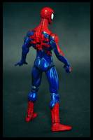 Spider-Man House of M Costume (Spider-Man) Custom Action Figure