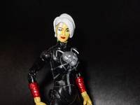 Martyr (Phylla-Vell) (Marvel Legends) Custom Action Figure