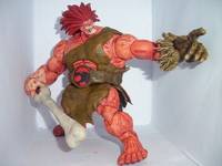 Lion-O AKA Cavecat (Thundercats) Custom Action Figure