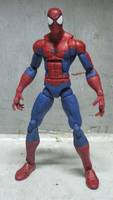 Peter Parker, the Spectacular Spider-Man (Spider-Man) Custom Action Figure