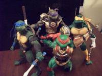 Tmnt (Wrestling) Custom Action Figure