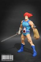 Lion-O (Thundercats) Custom Action Figure