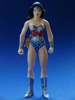 Silver Armor Wonder Woman (DC Direct) Custom Action Figure