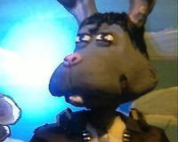 Spike (Music) Custom Action Figure