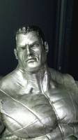 Colossus (Marvel Universe) Custom Action Figure