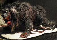 The Kessler Wolf (Movie Maniacs) Custom Action Figure