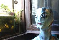 HELLBOY - Abe Sapien - Real Size 1/1 (Hellboy) Custom Action Figure