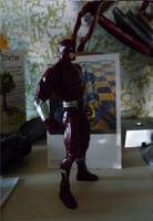 Walter West the Dark Flash (DC Universe) Custom Action Figure