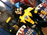 Sinestro Corps: Raditz (Sinestro Corps) Custom Action Figure