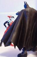 Harley Quinn (DC Superheroes) Custom Action Figure