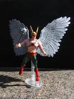DCSH JSA Hawkman (DC Superheroes) Custom Action Figure