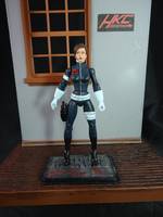 Maria Hill (Avengers) (Marvel Universe) Custom Action Figure
