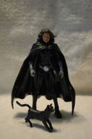 Blackthorne (DC Direct) Custom Action Figure