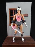 Catra Classics (Vintage 80's Style) (Masters of the Universe) Custom Action Figure