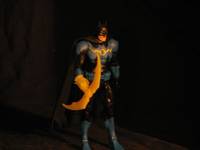 SC  Batman (DC Universe) Custom Action Figure