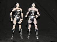 BL Wonderwoman (DC Universe) Custom Action Figure