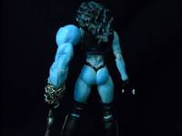 She Lobo (Legendary Comic Book Heroes) Custom Action Figure