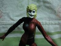 Harley Quinn (Batman) Custom Action Figure