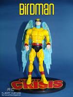 Birdman (Misc) Custom Action Figure
