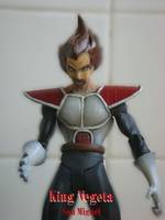 King Vegeta (Dragonball Z) Custom Action Figure