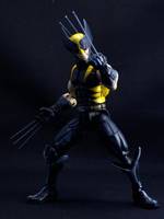 Wolverine (Marvel Legends) Custom Action Figure