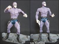 The PHANTOM the Ghost Who Walks (DC Universe) Custom Action Figure