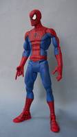 Marvel Universe Classics Spiderman (DC Universe) Custom Action Figure