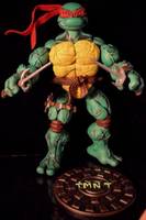 Raphael  Casey Jones TMNT (Marvel Legends) Custom Action Figure