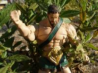 Heracles (Warriors) Custom Action Figure
