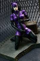 Classic Catwoman (Marvel Legends) Custom Action Figure