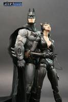 Arkham City Catwoman (Marvel Legends) Custom Action Figure