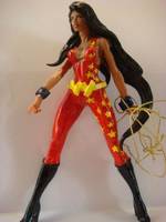 Wonder Girl (DC Superheroes) Custom Action Figure