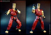 Paul Phoenix (Tekken 5) Custom Action Figure