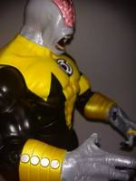 Sinestro Corps Validus (DC Universe) Custom Action Figure