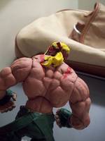 Alex (Street Fighter) Custom Action Figure