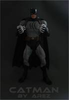 Catman V. 2 (DC Universe) Custom Action Figure