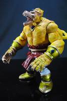 Broly Super Saiyan Ohzaru (Dragonball Z) Custom Action Figure