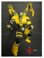 Sinestro Corps Zorm V2 (Green Lantern) Custom Action Figure