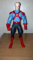 Supergenius (DC Direct) Custom Action Figure