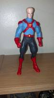 Supergenius (DC Direct) Custom Action Figure