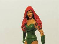 DCUC Poison Ivy (DC Universe) Custom Action Figure